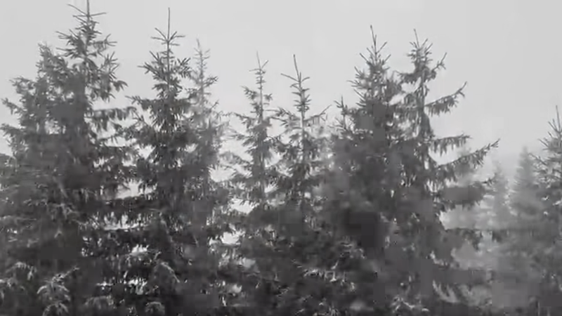 Patru turiști din Republica Moldova, blocați în Munții Făgăraș din România