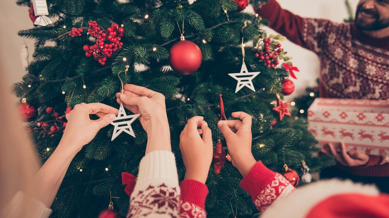 Ultima ședință a Parlamentului din acest an: Cum își vor petrece deputații sărbătorile de iarnă?